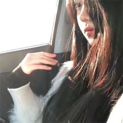 键盘猫